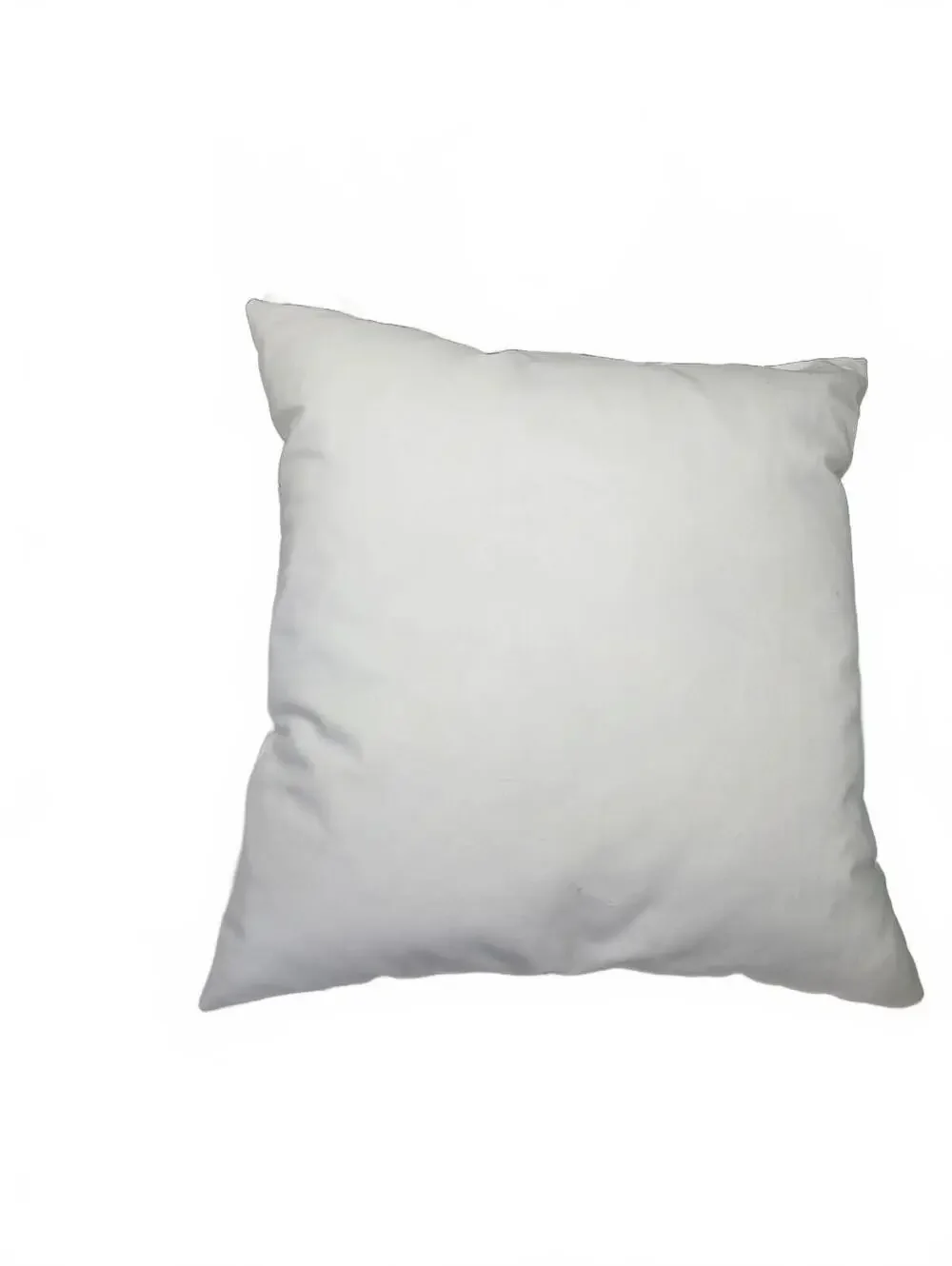 Michigan State Spartans Pillow and Wreath Lot